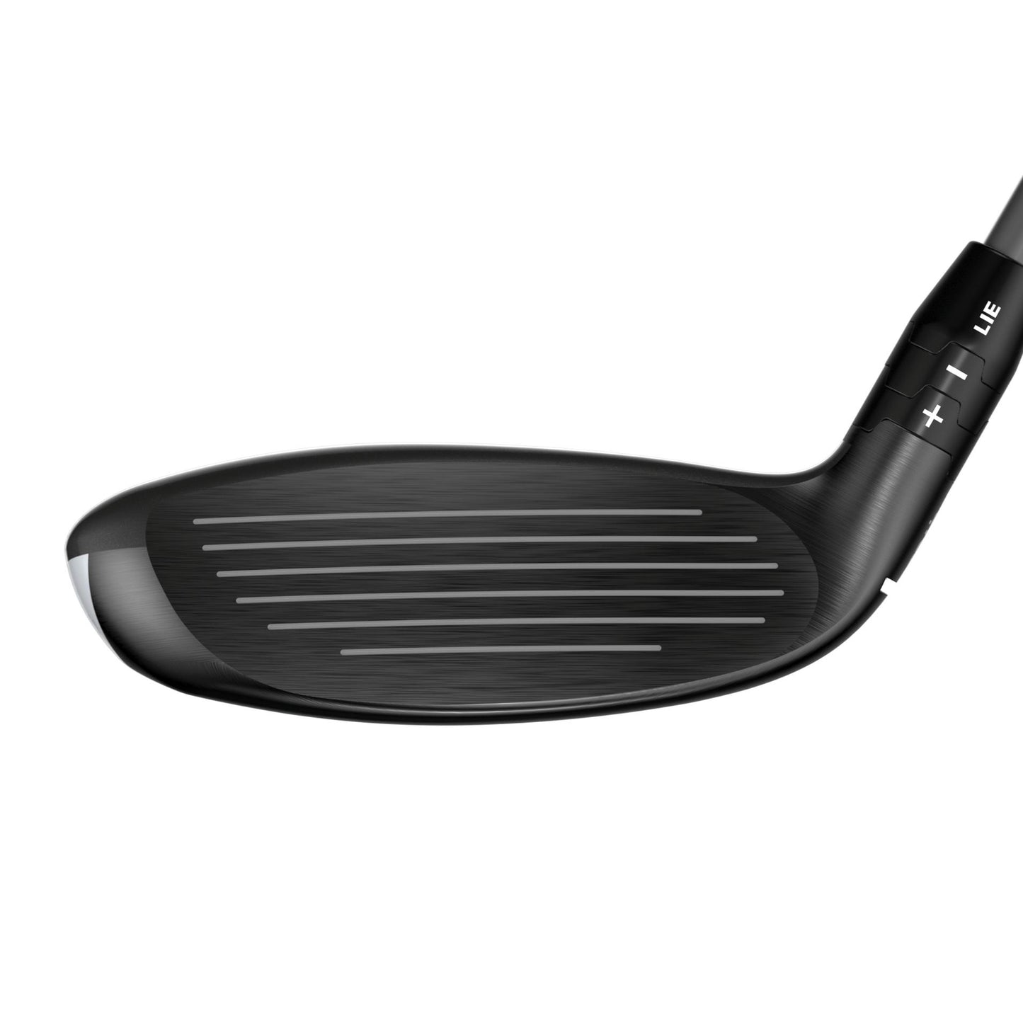 Quantum Max OS Hybrid